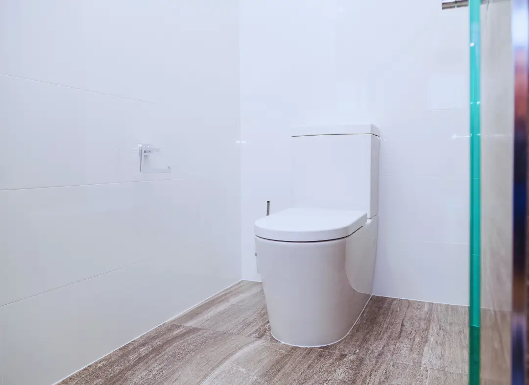 Remplacement de wc Escalquens